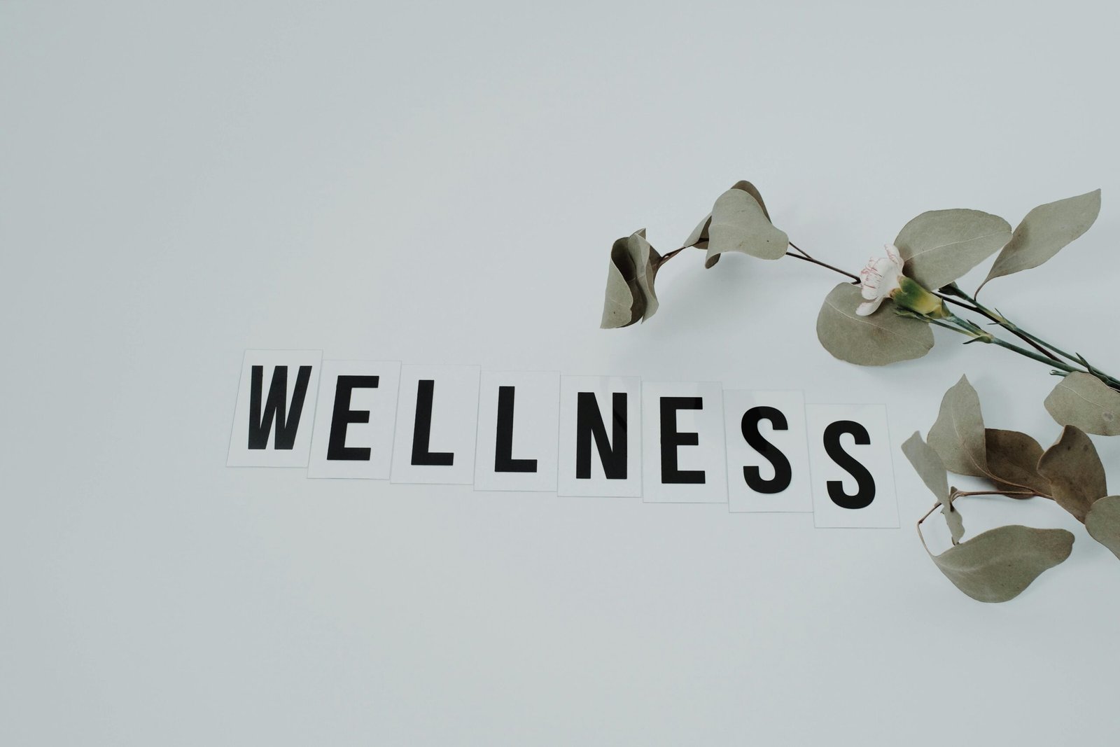 health and wellness